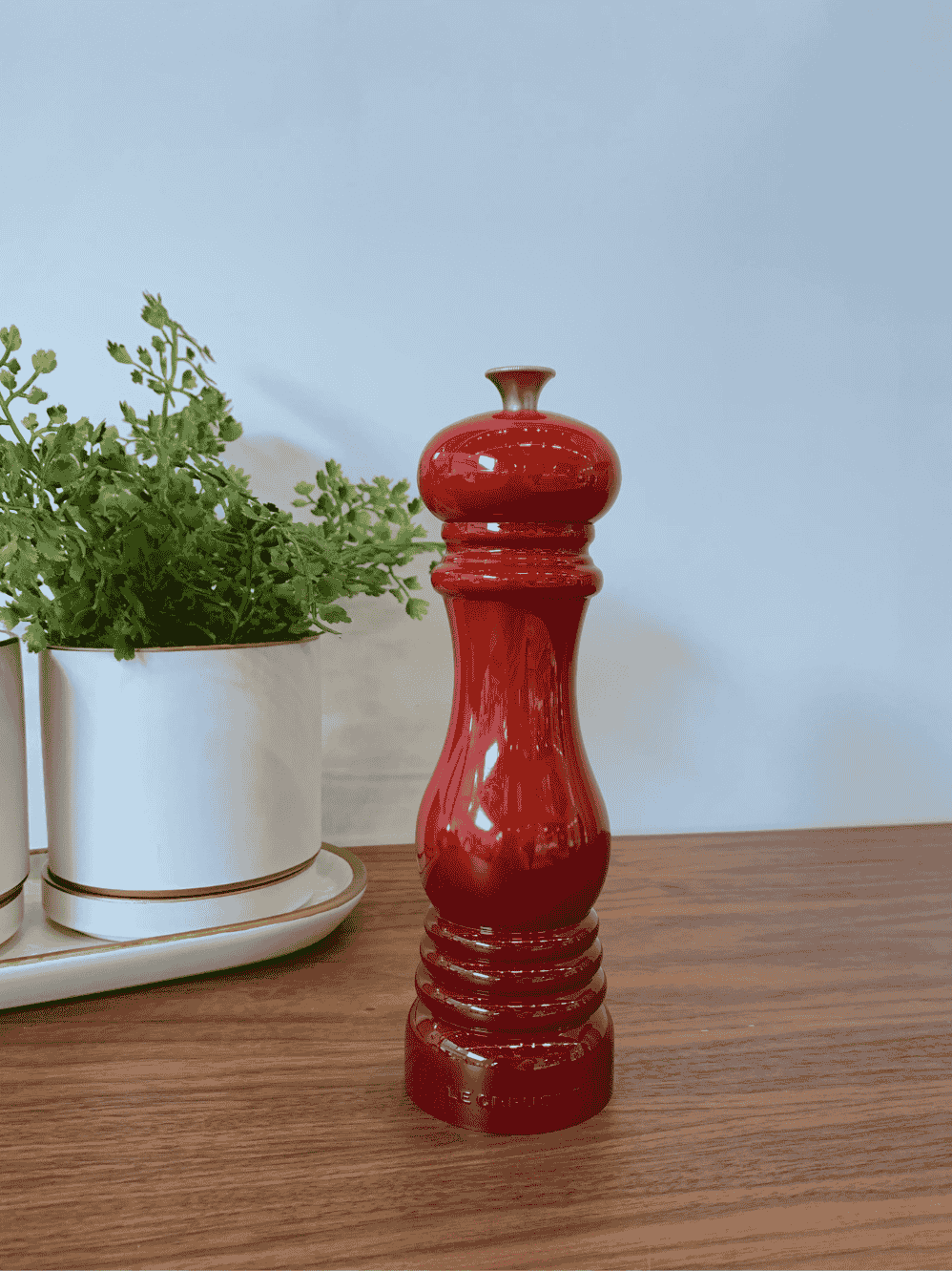 Moedor de Sal Le Creuset 21cm Vermelho